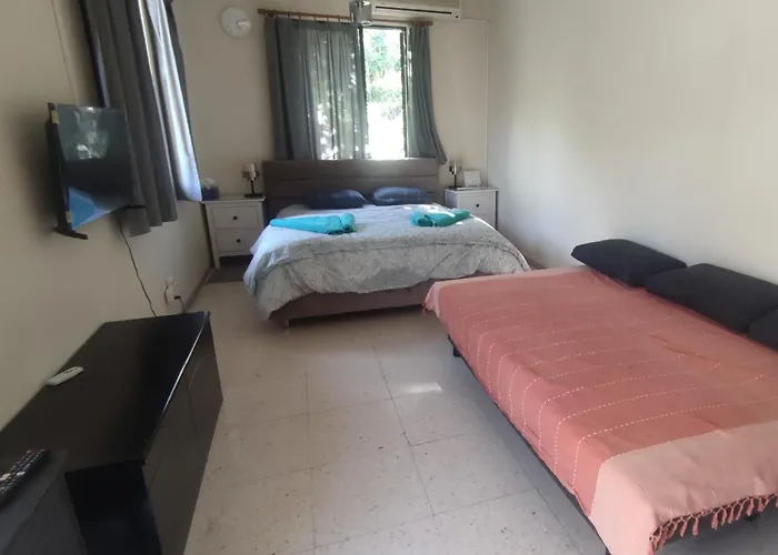 Ambeli - Ambeloui * Καλοπαναγιώτης