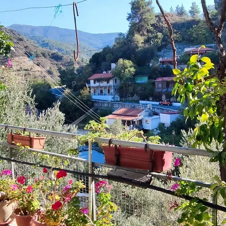 Σπίτι διακοπών Ambeli - Ambeloui *