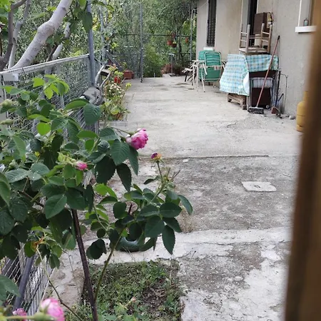 בית נופש Ambeli - Ambeloui *