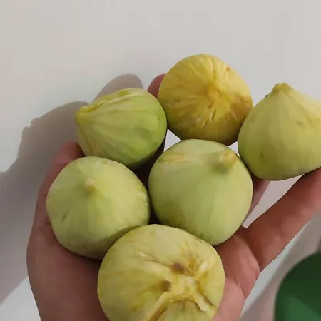 בית נופש Ambeli