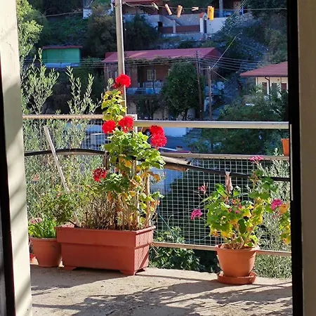 Ambeli - Ambeloui * קאלופאנאיוטיס