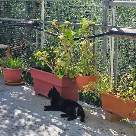 Ambeli - Ambeloui בית נופש קאלופאנאיוטיס