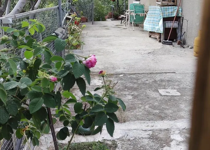 Prázdninový dům Ambeli - Ambeloui *