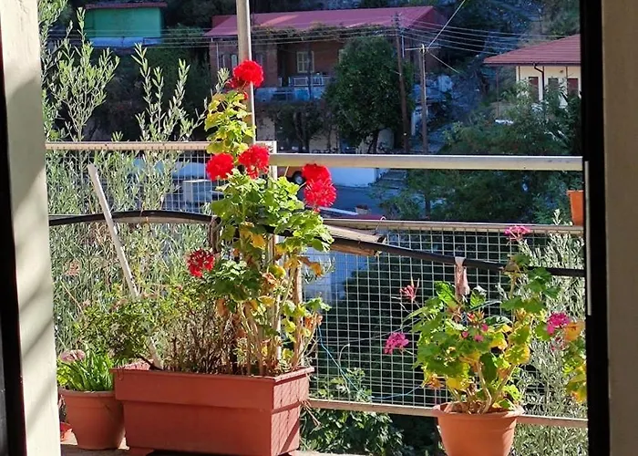 Ambeli - Ambeloui * Kalopanagiotis